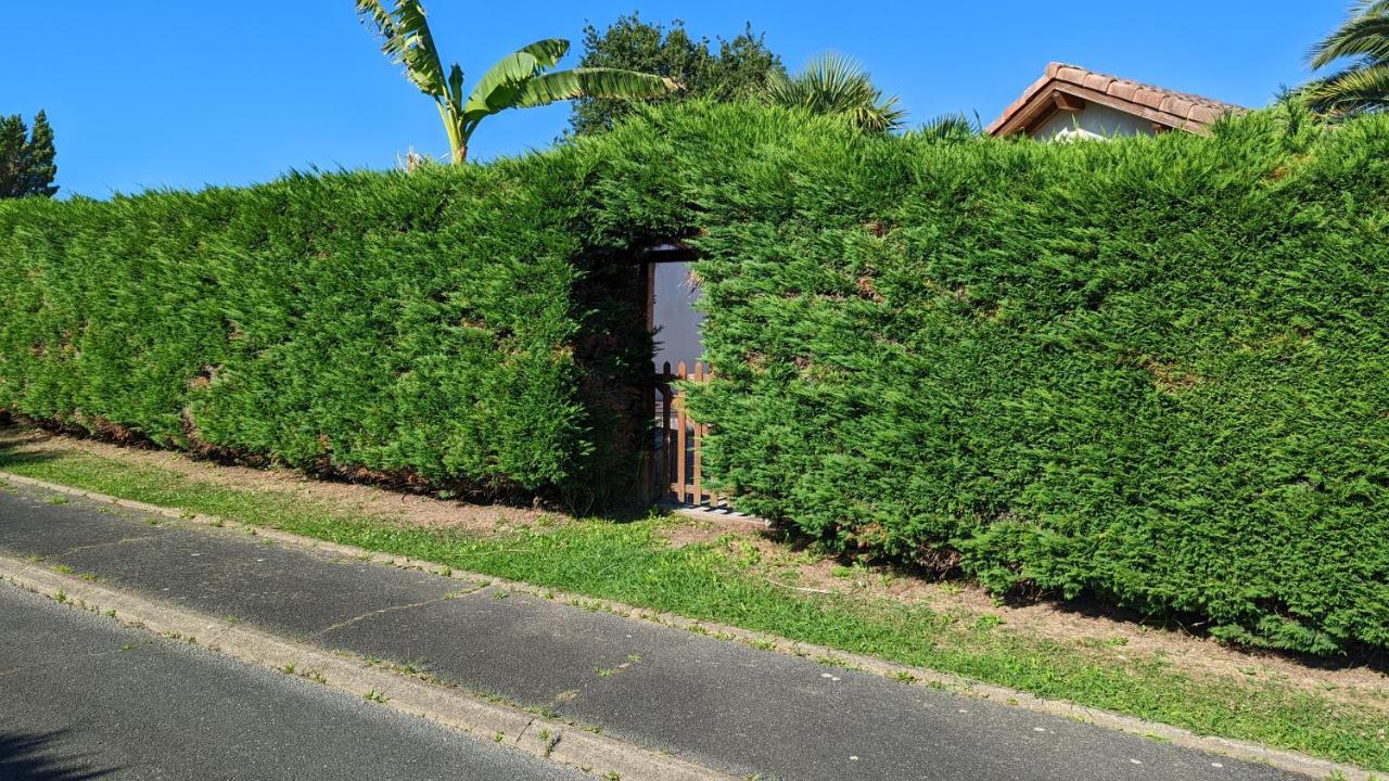 Guest House Au Milieu Des Palmiers Saint-Martin-de-Seignanx Exterior foto